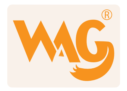 WebNappGuysinuae