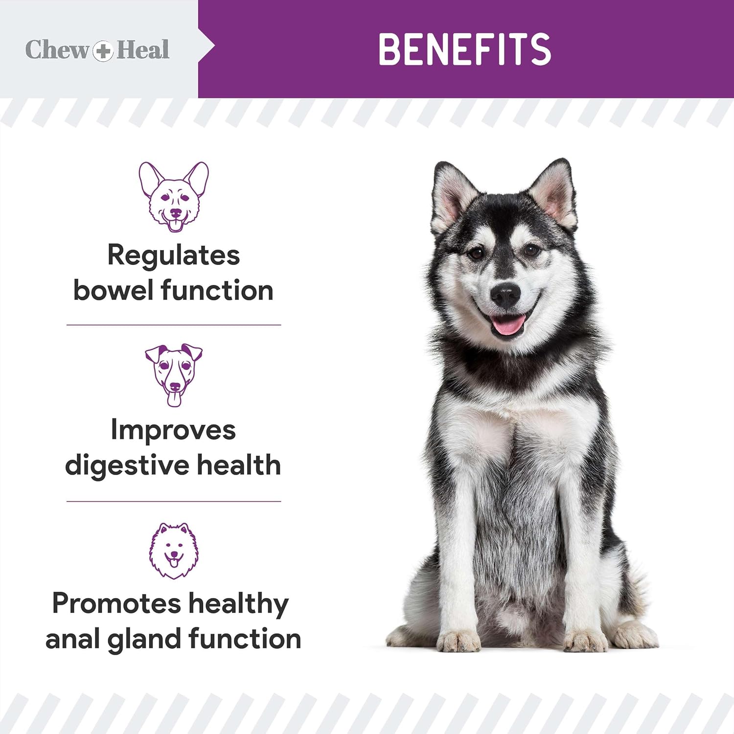 Stop The Scoot supplement for dogs
