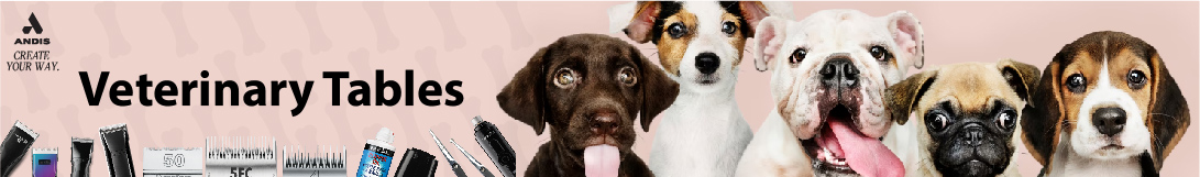 dog banner image