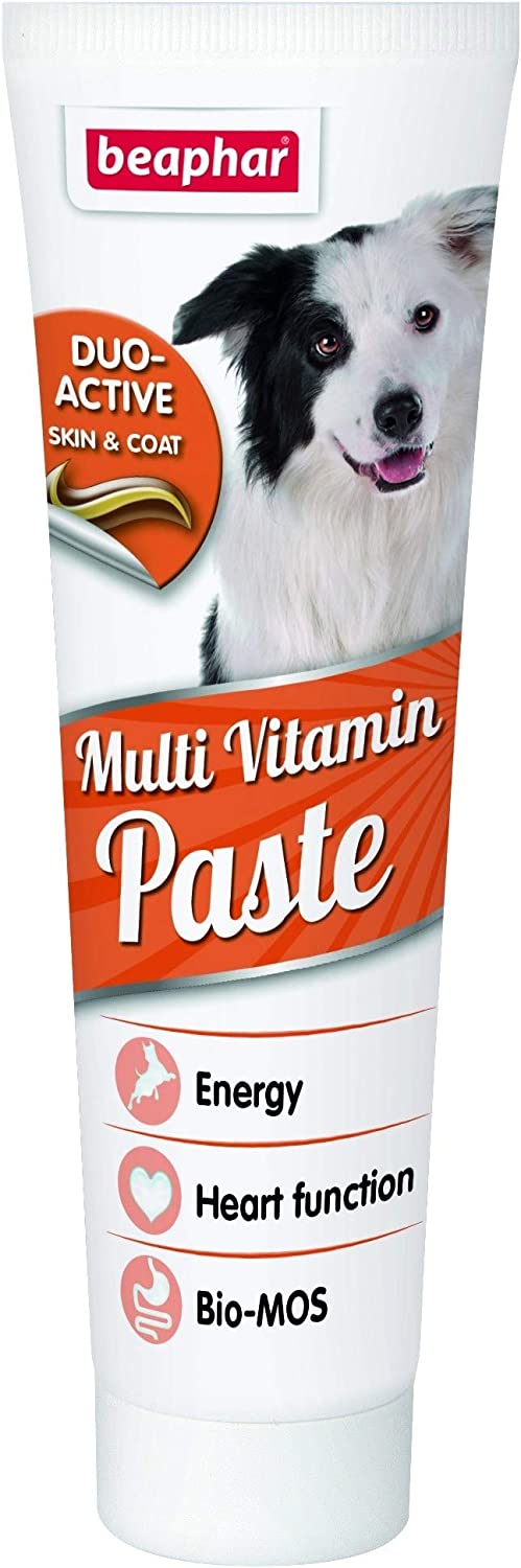 Dog Vitamin