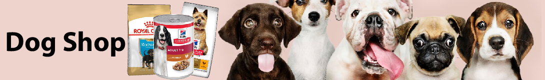 dog banner image