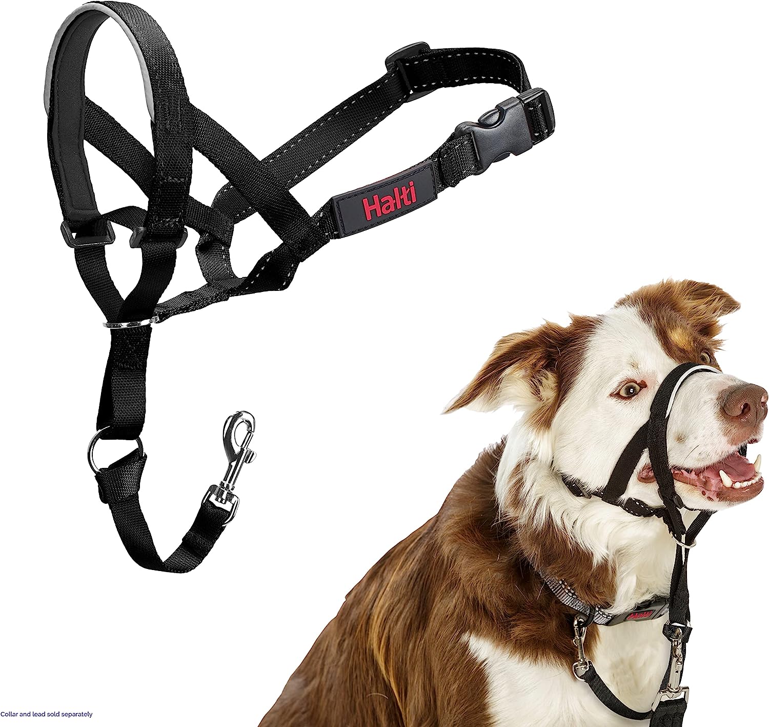 COA HH022 Head Collar Black- size2