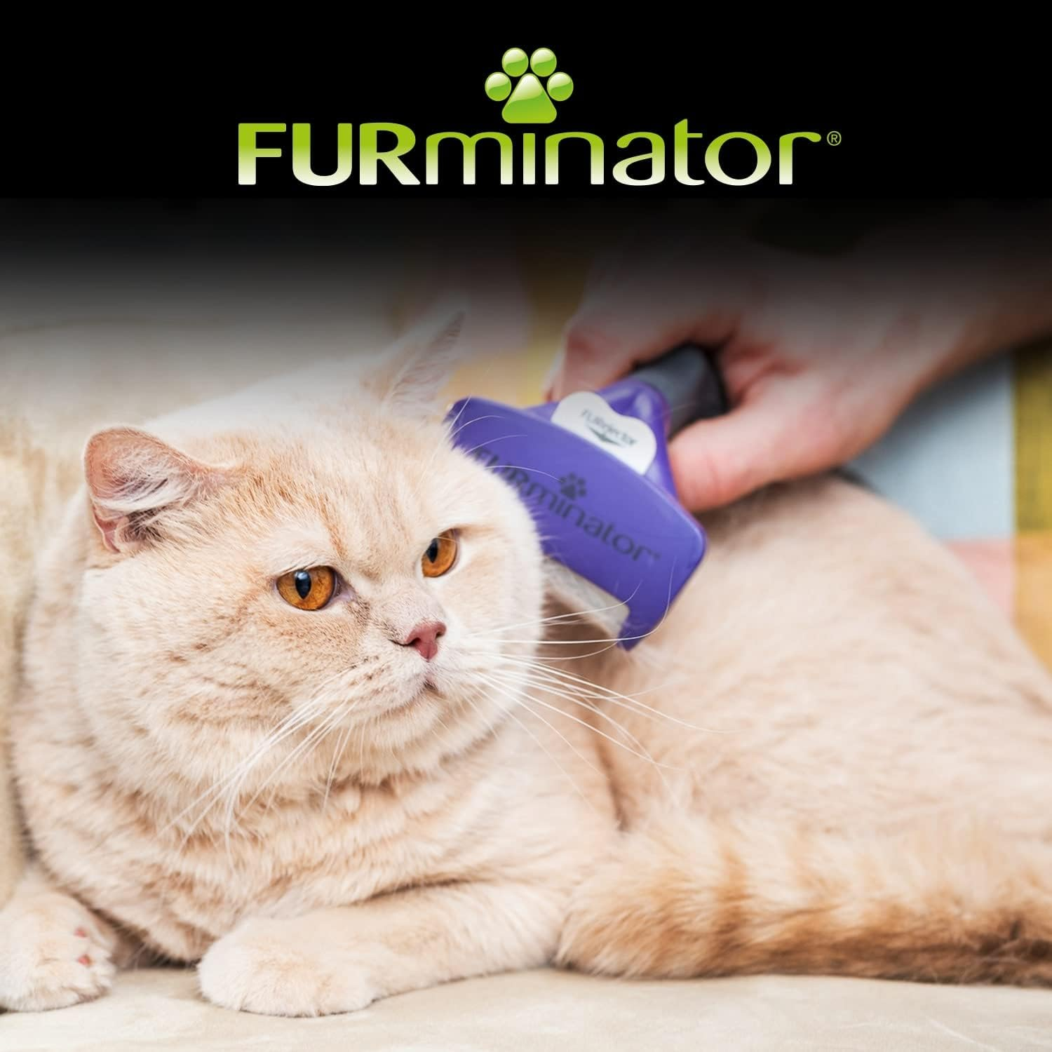 Furminator Cat Undercoat M/L Short Hair 12 YA