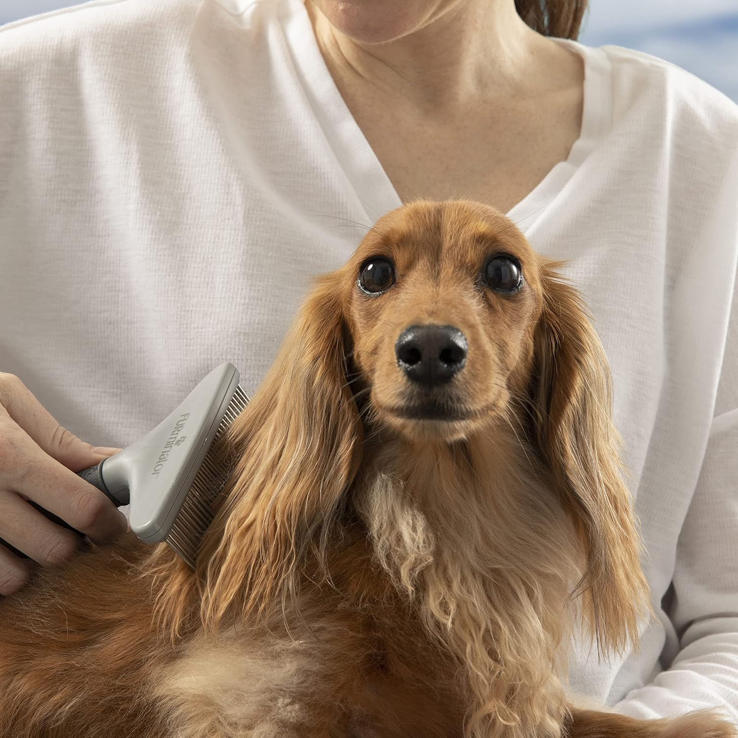 FURminator Rake