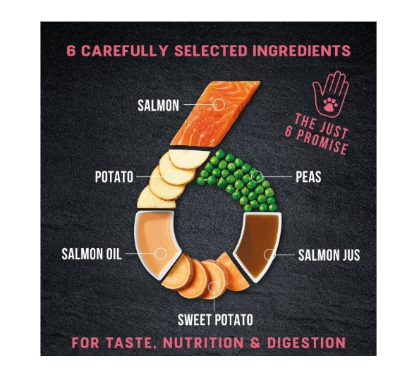 Harringtons Just 6 Salmon Grain Free Adult Dry Dog Food 2KG