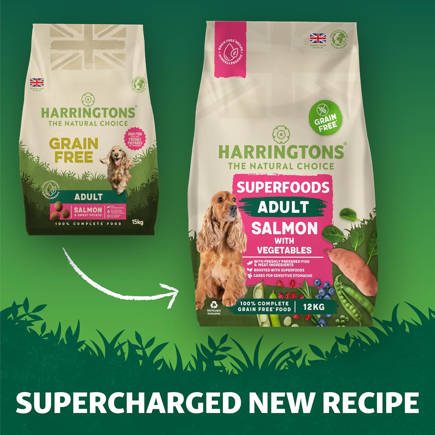 Harringtons Superfoods Salmon with Vegetables Adult Dry Dog Food 1.7KG