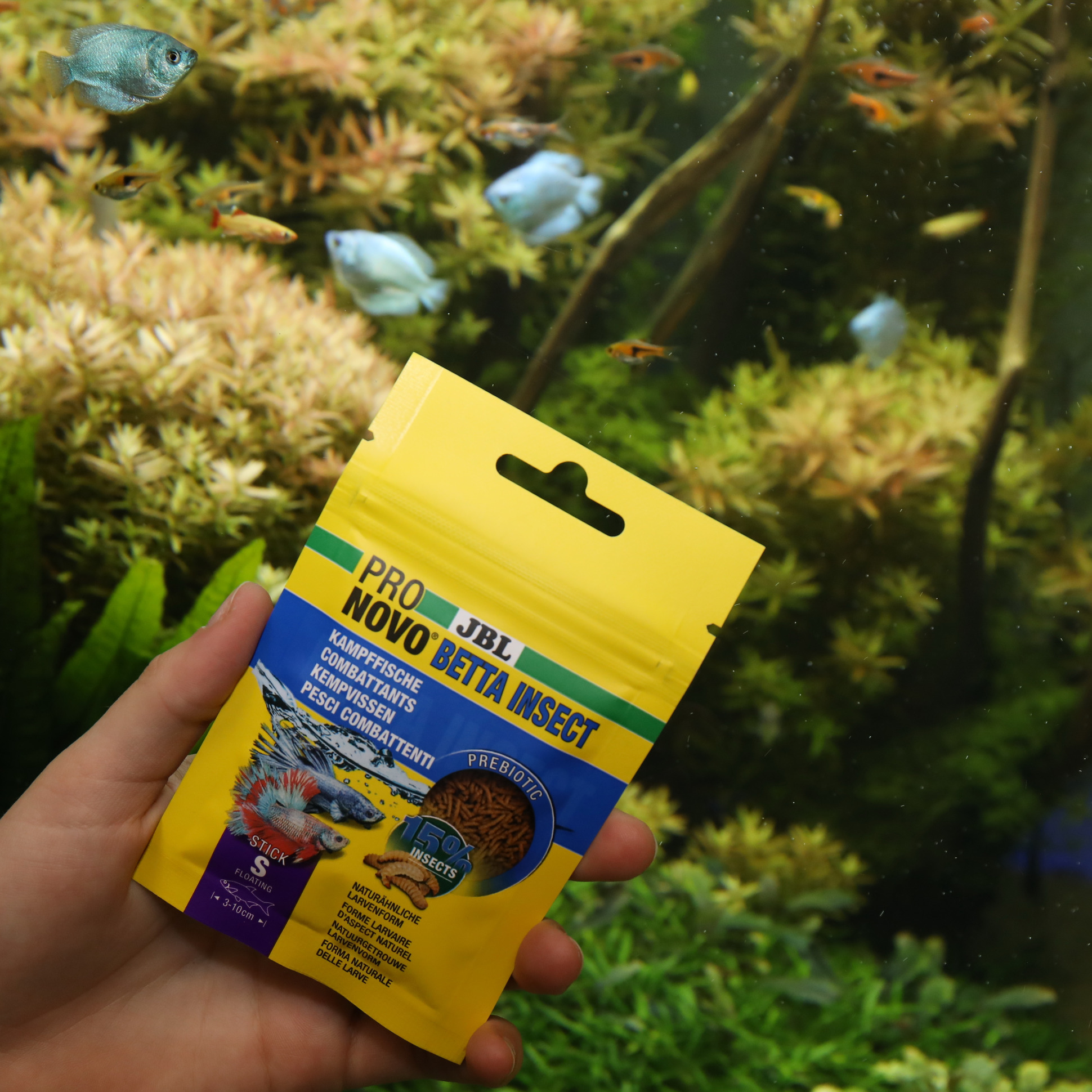 JBL Pronovo Betta Insect Stick S 100Ml