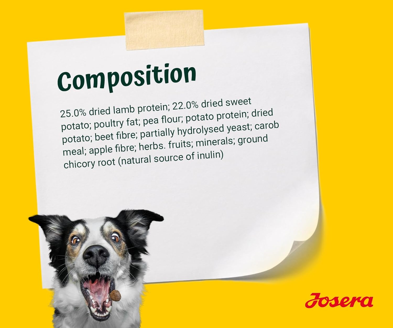 Josera Lamb & Batate Dog Dry Food - 900g