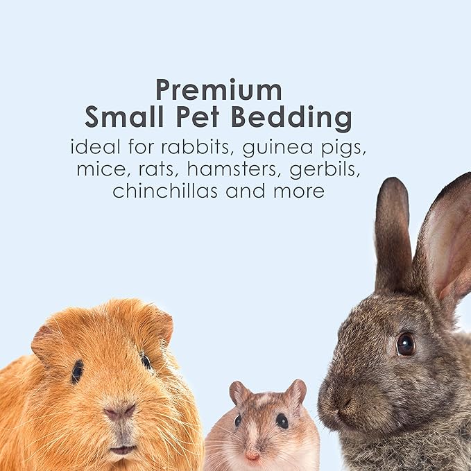 Kaytee Kt Clean & Cozy White 6/24.6L Small Animal Bedding