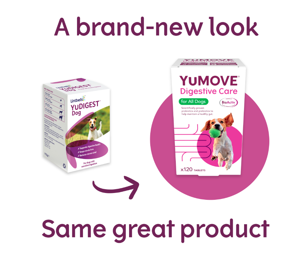 Lintbells Yumove Digestive Care 120 Tabs