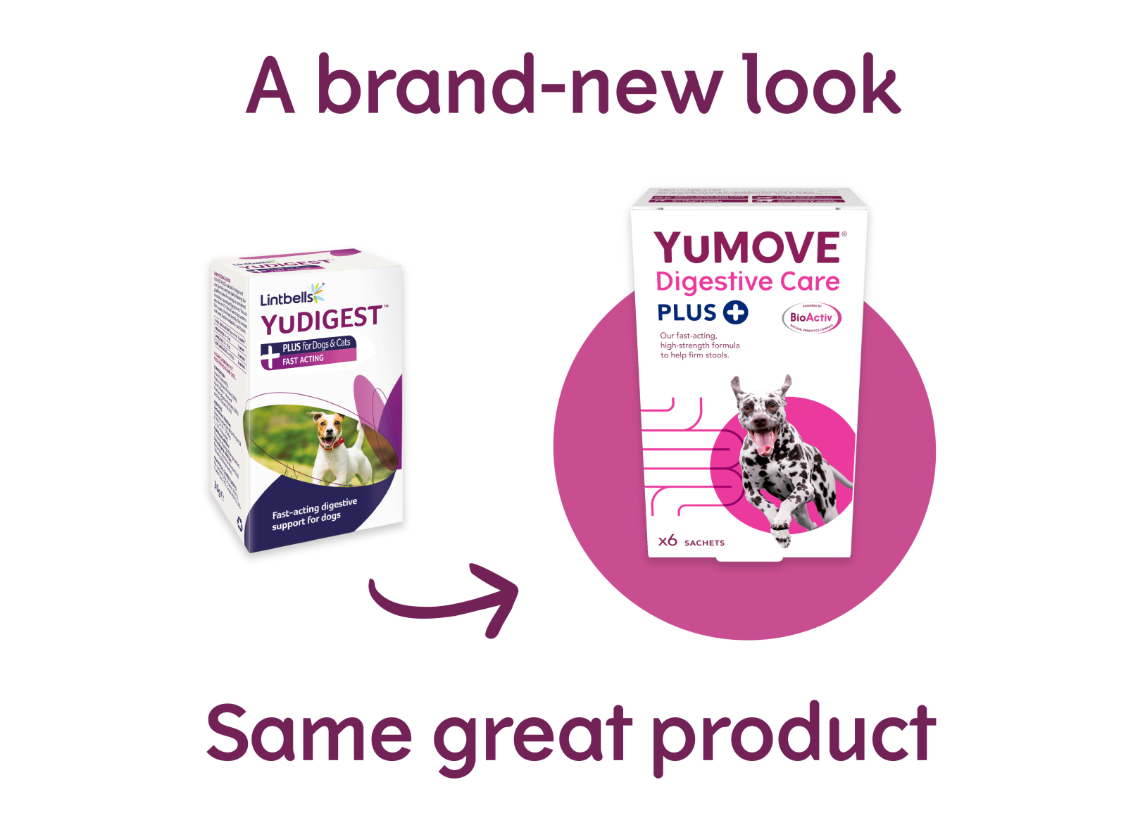 Lintbells Yumove Digestive Care Plus 6 Sachets