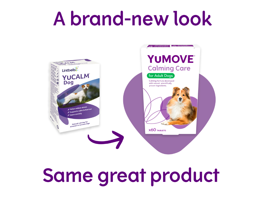 Lintbells Yumove Calming Care For Adult Dogs 60 Tabs