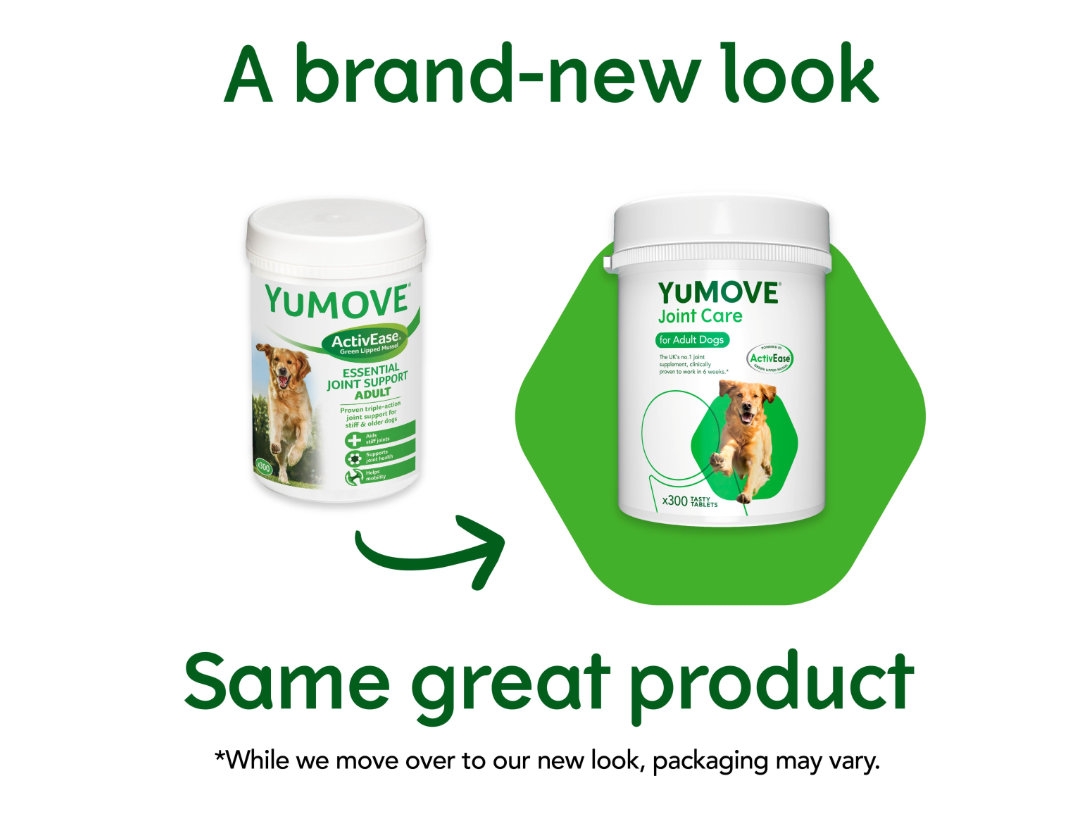 Lintbells Yumove Joint Care For Adult Dogs 300 Tabs