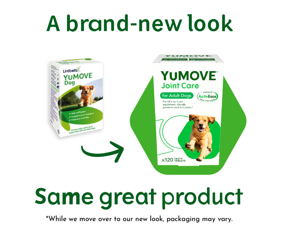 Lintbells Yumove Joint Care For Adult Dogs 120 Tabs