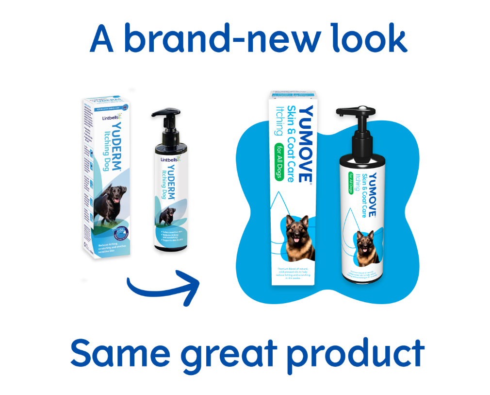 Lintbells Yumove Skin & Coat Care Itching 500 Ml
