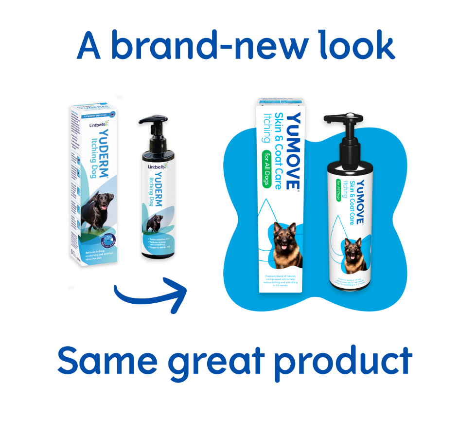 Lintbells Yumove Skin & Coat Care Itching 250 Ml