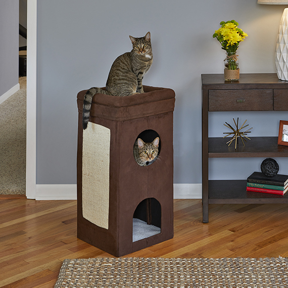 Midwest Curious Cat Cube Condo