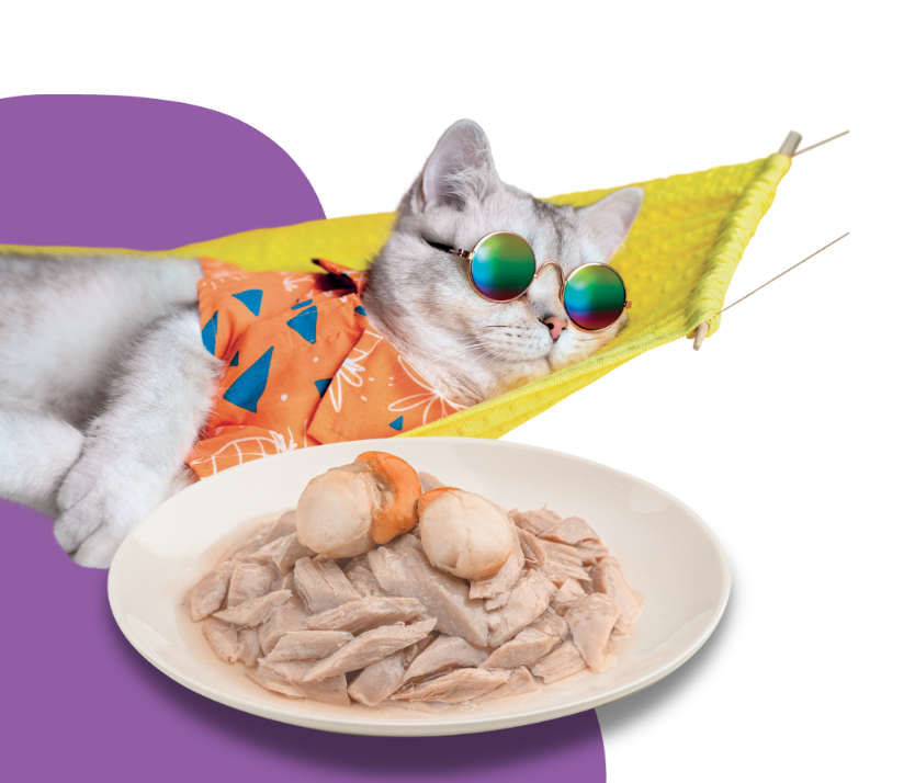 Moochie Cat Food Tuna & Scallop Recipe in Jelly Pouch 70g