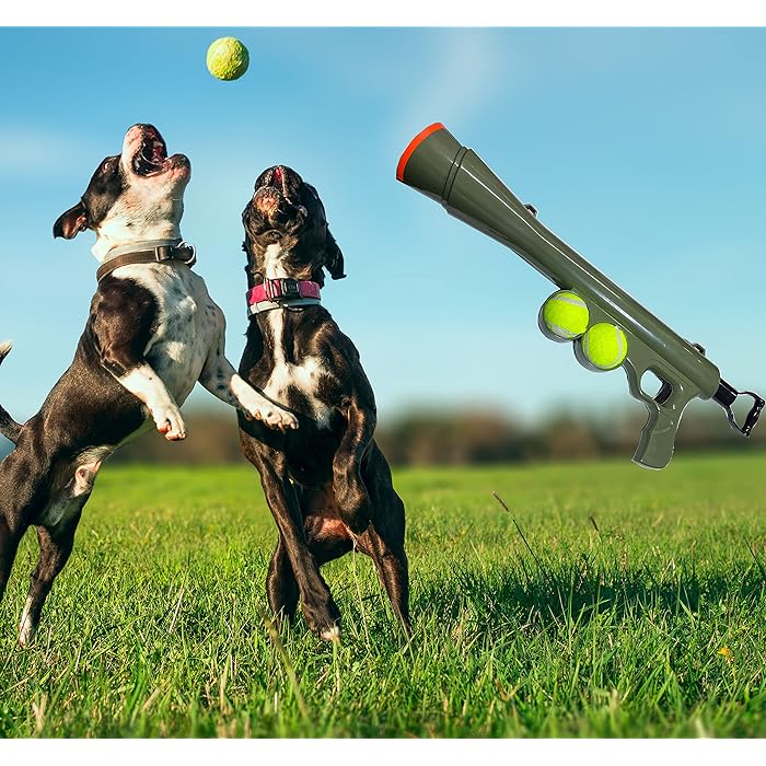 NORF Dog Ball Launcher