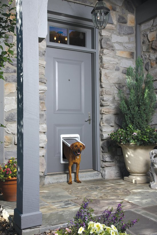 Pet Safe Passport Intelligent Dog Cat Door Flap