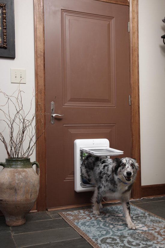 Pet Safe Passport Intelligent Dog Door Flap