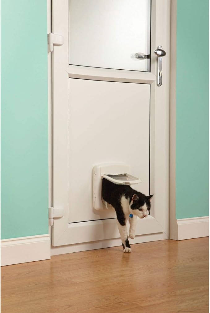 Pet Safe Infra Red Key - Green