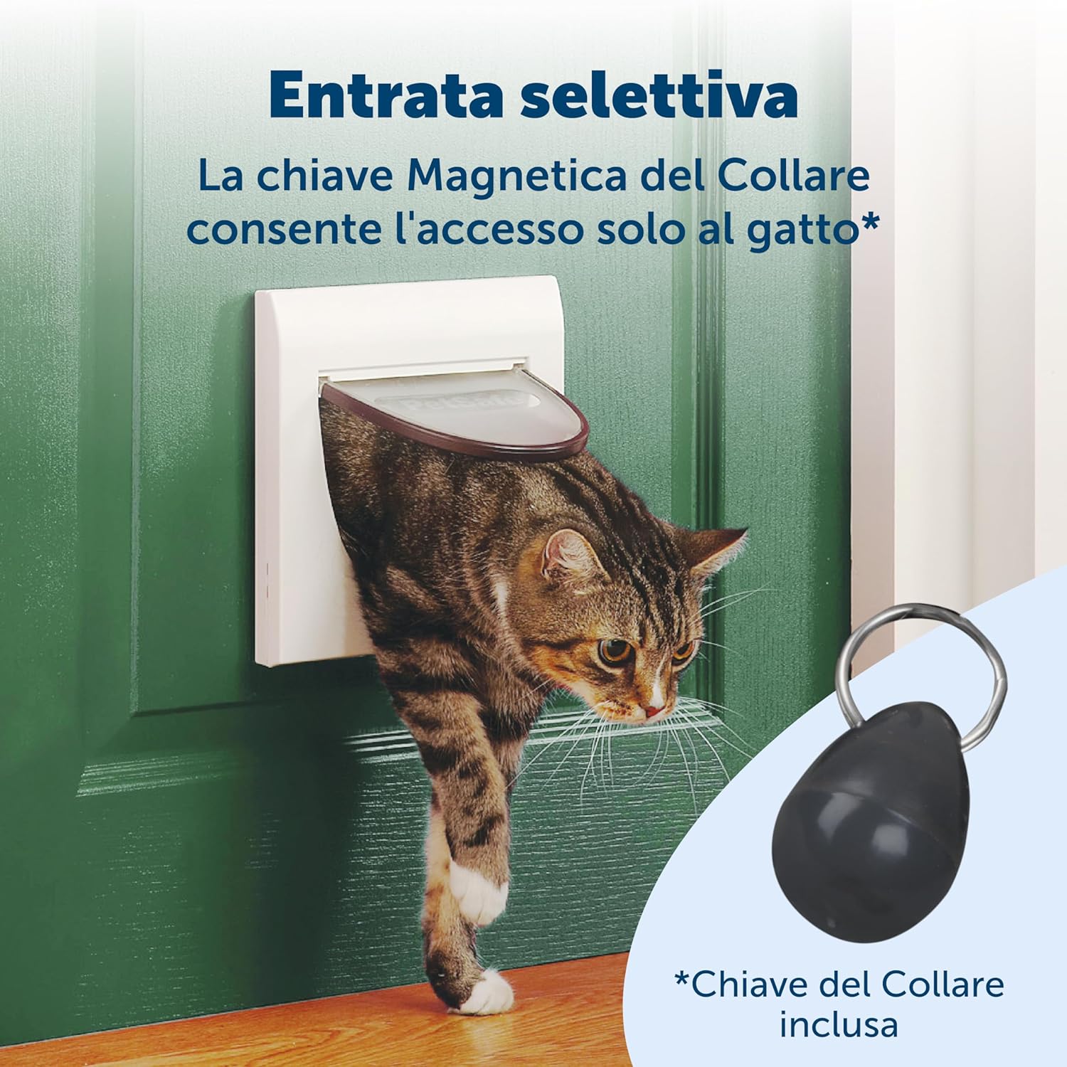 PetSafe Magnetic 4 Way Locking Classic Cat Flap