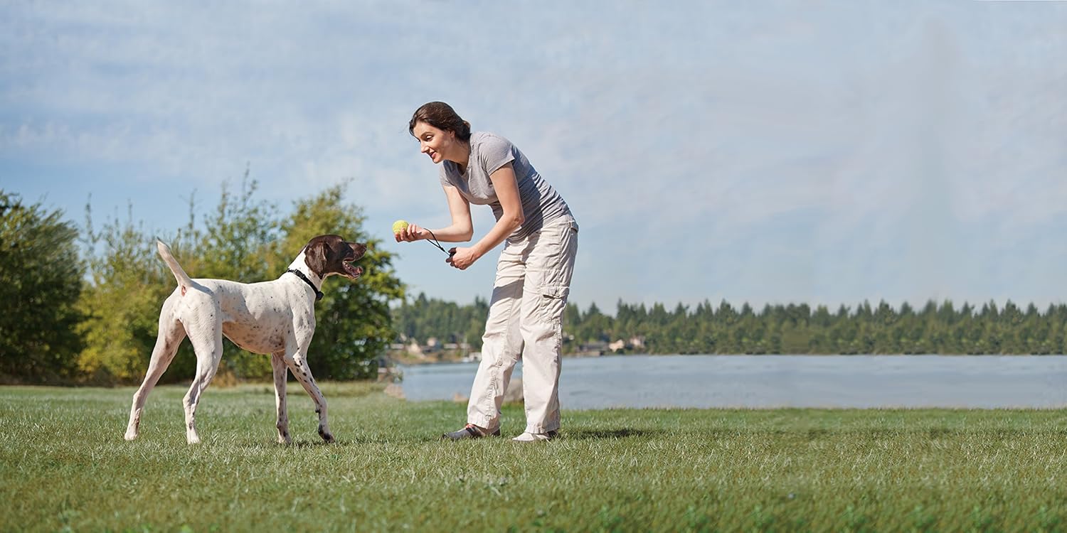 Pet Safe 900 m Big Dog Deluxe Remote Trainer