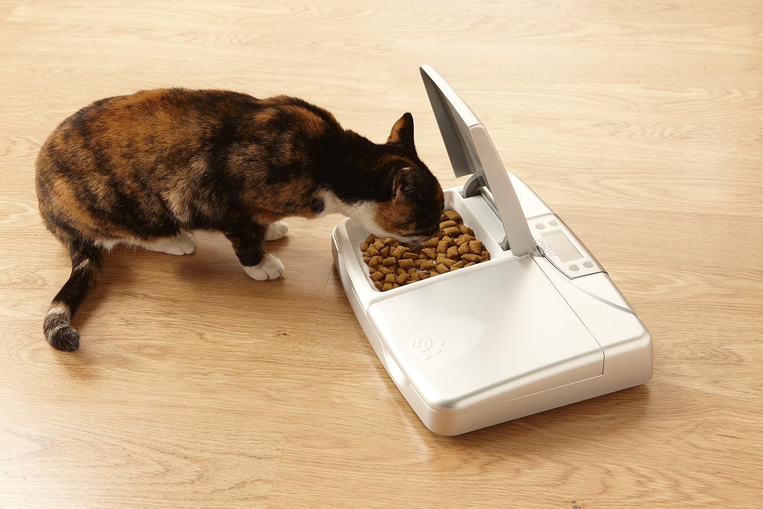 Pet Safe Pet Pod Digital Pet Feeder