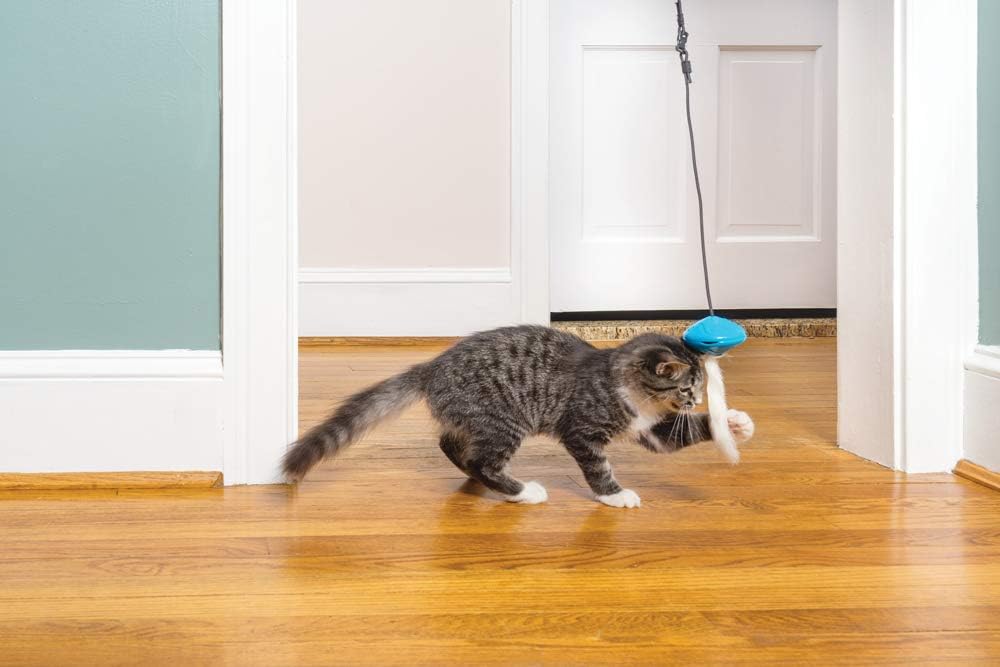 PetSafe Doorway Dangli Cat Toy