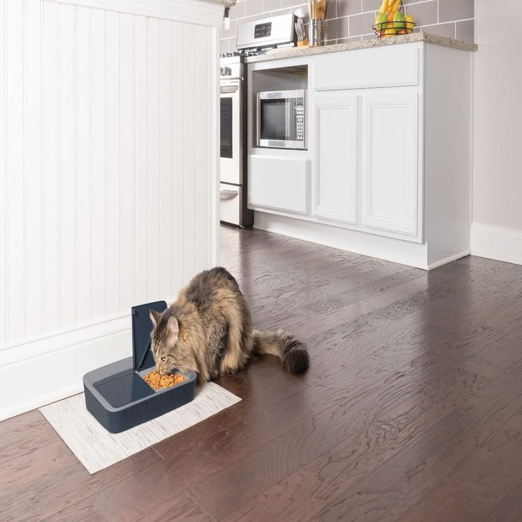 PetSafe Digital Two Meal Pet Feeder