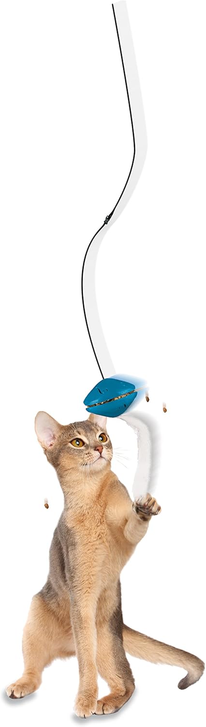 PetSafe Doorway Dangli Cat Toy