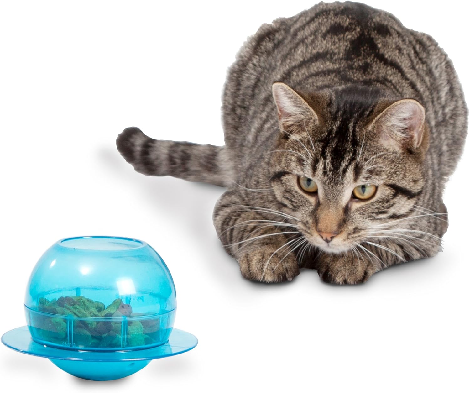 PetSafe Fishbowl - Cat Feeder Toy Cat Toy