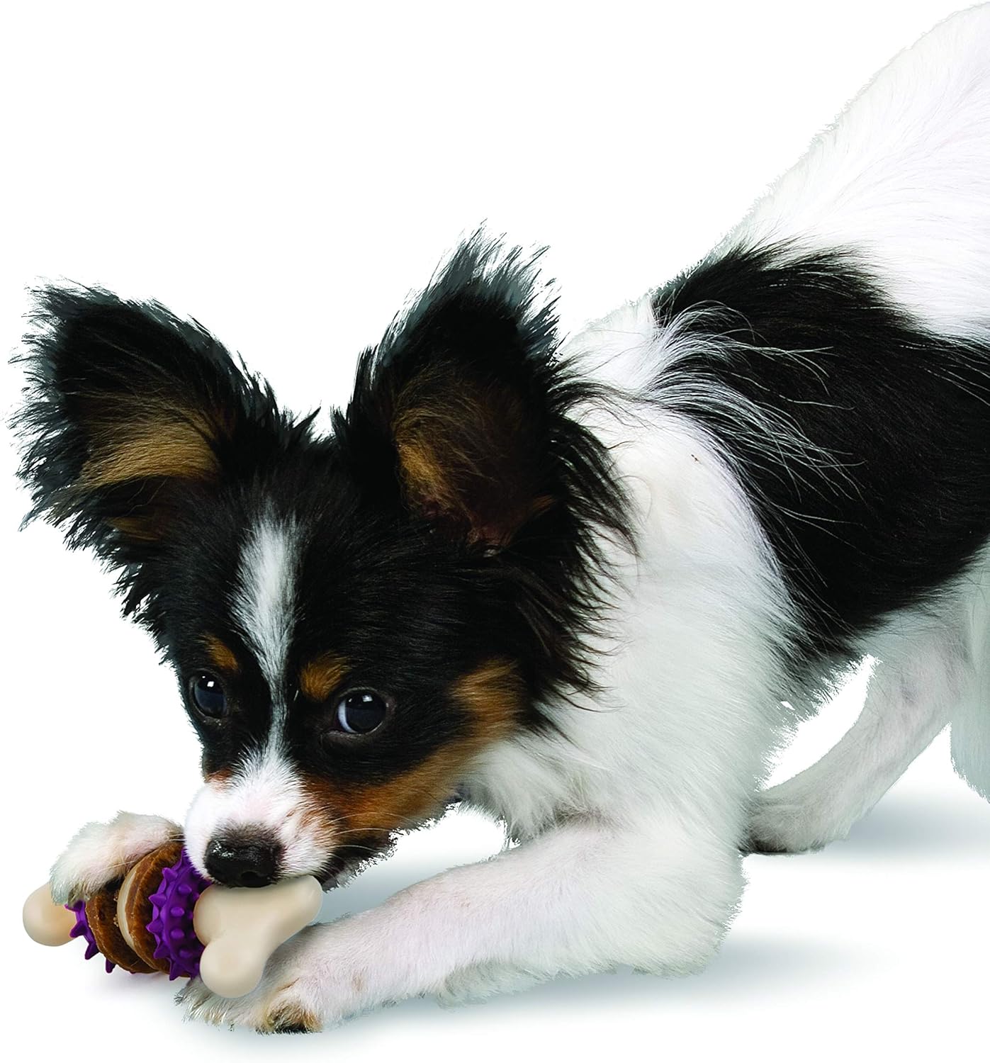 Petsafe ChewBrush Chewer's Choice for Dog