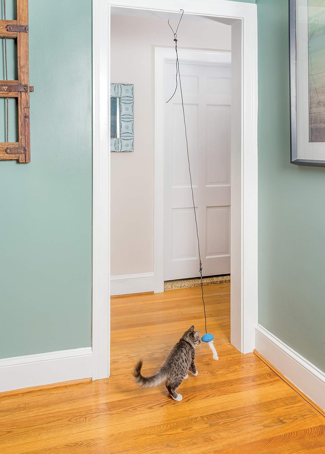 PetSafe Doorway Dangli Cat Toy