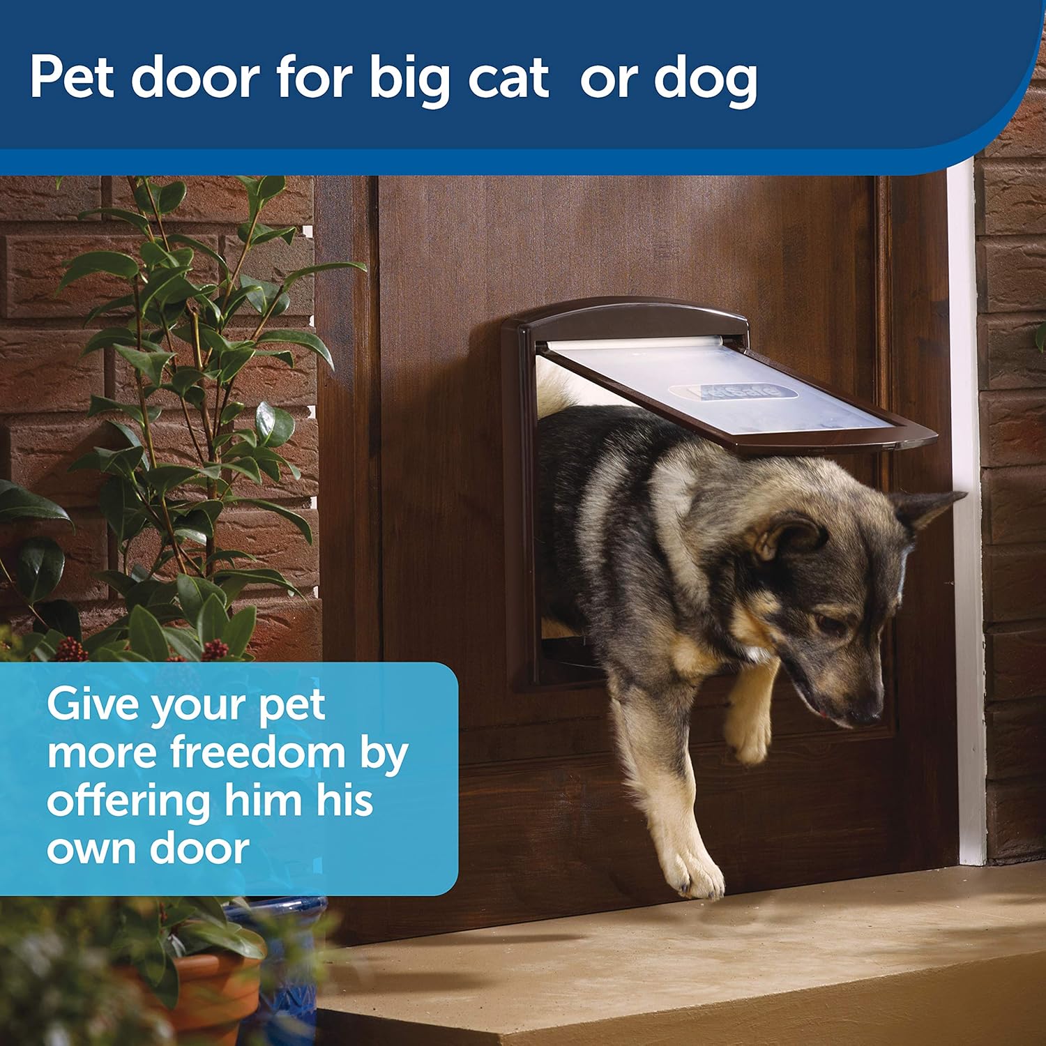 PetSafe Original 2 Way Medium Pet Door - Brown