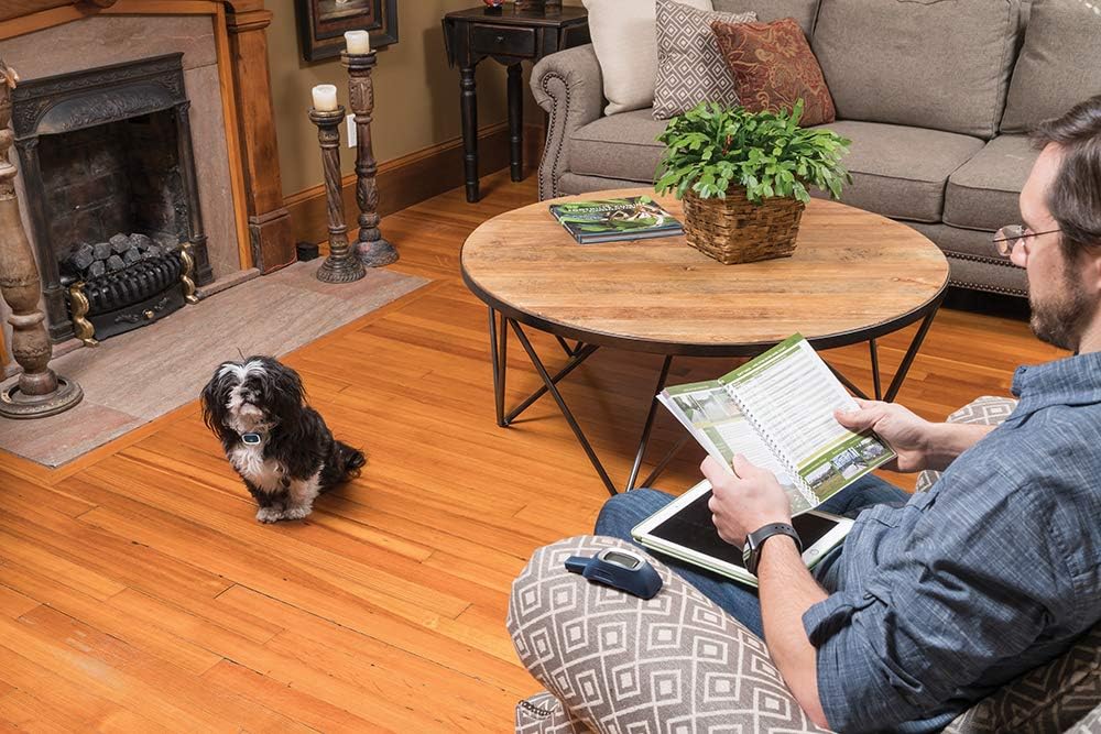 PetSafe 300 m Lite Remote Trainer