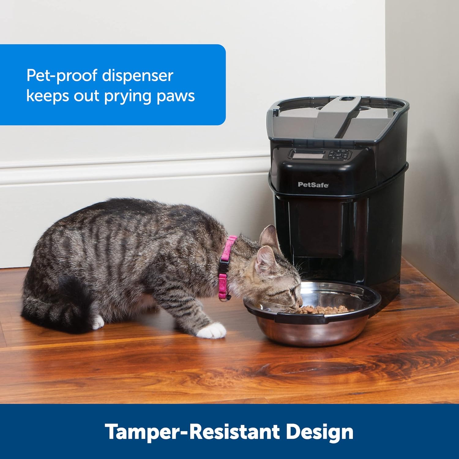 PetSafe Healthy Simple Feed-Programmable Digital Pet Feeder