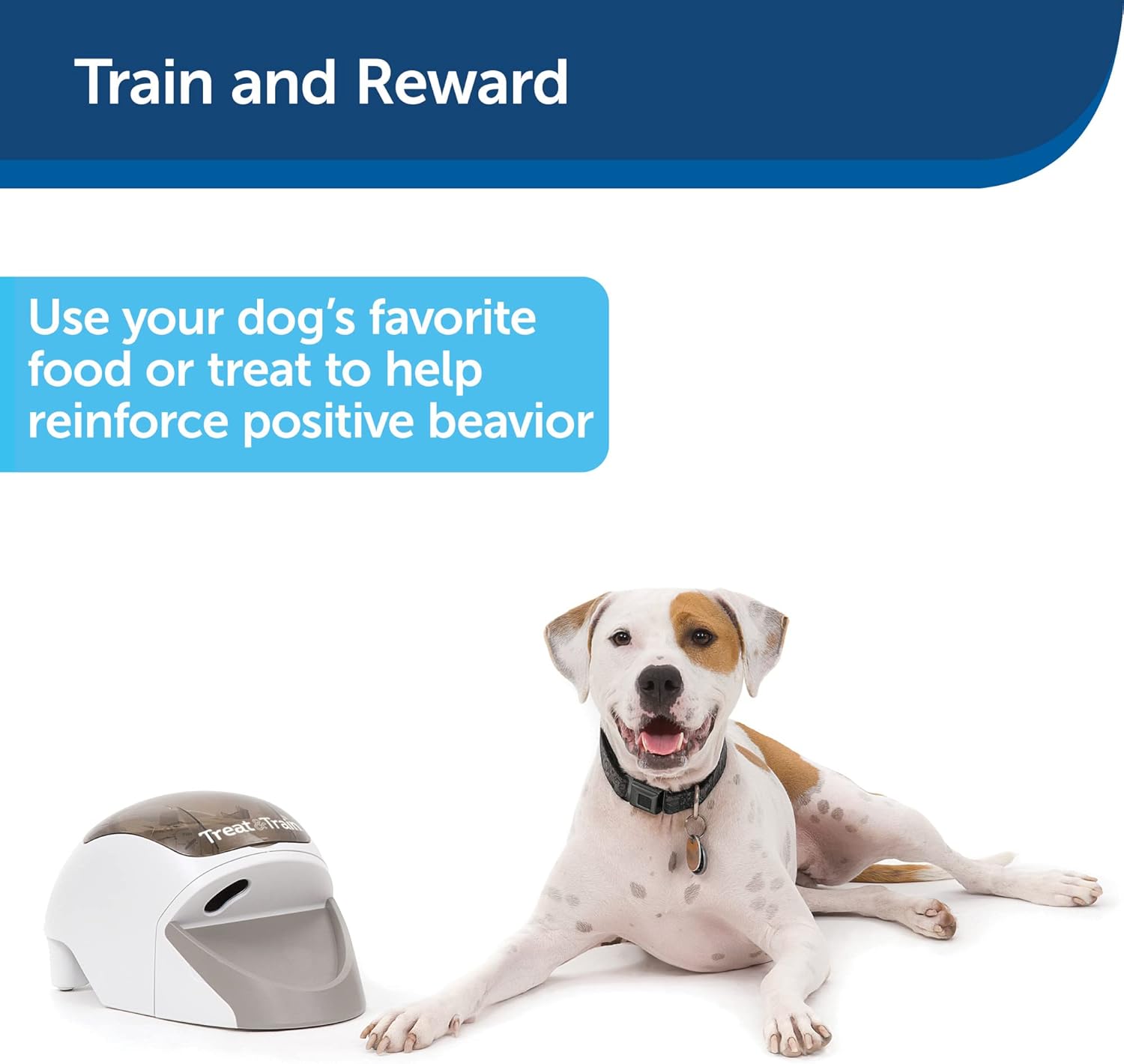 PetSafe Treat & Train Remote Reward Dog Trainer