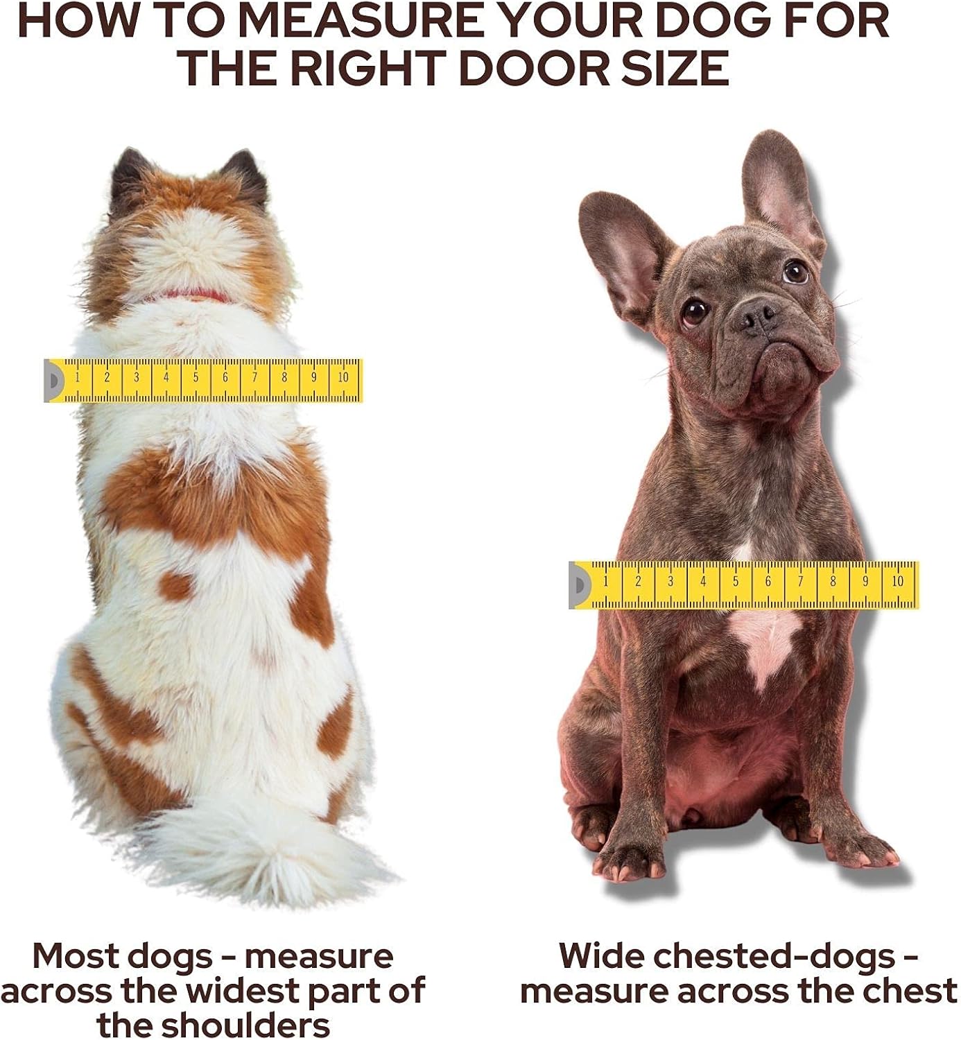 PetSafe Big Cat Small Dog Pet Door - White