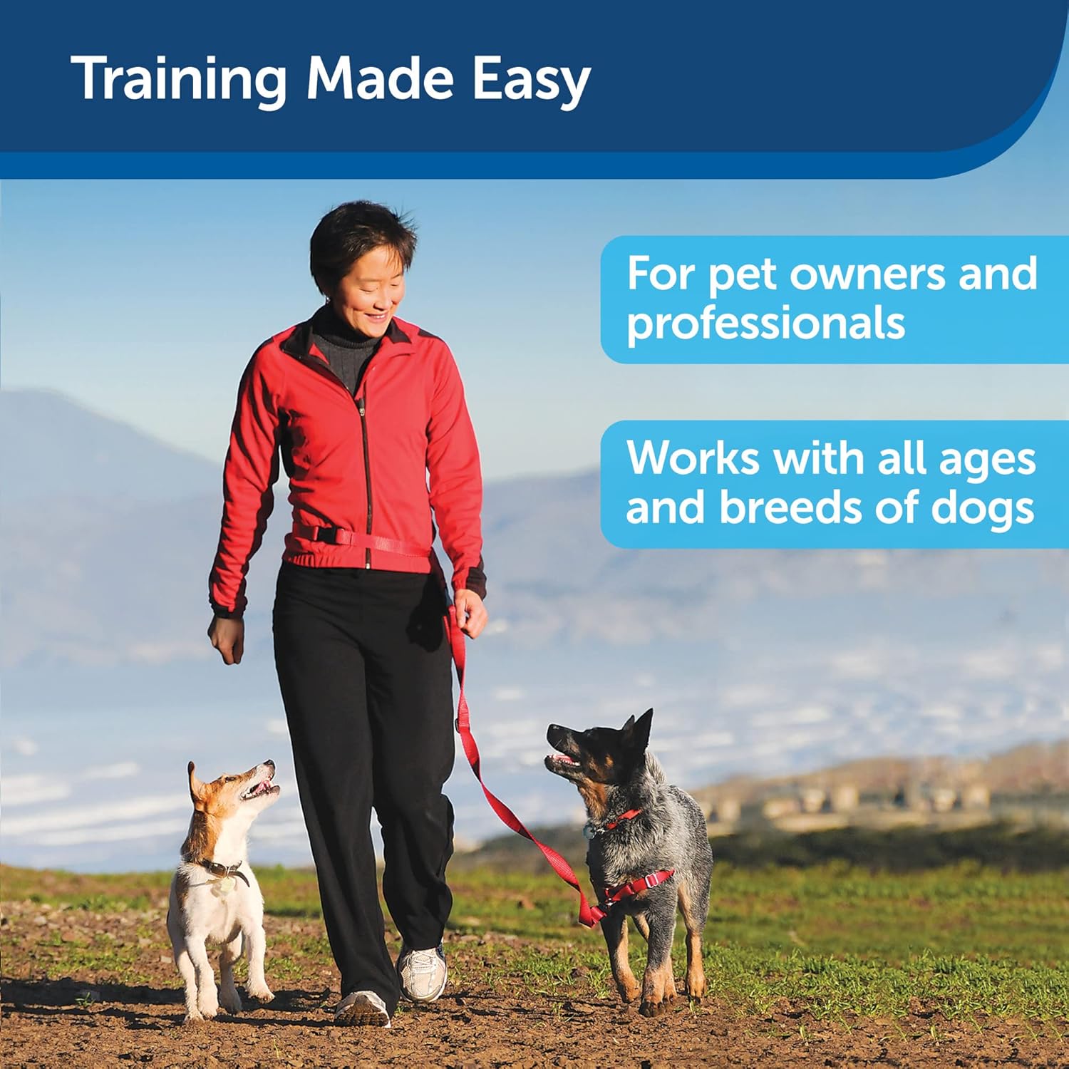 PetSafe Treat & Train Remote Reward Dog Trainer