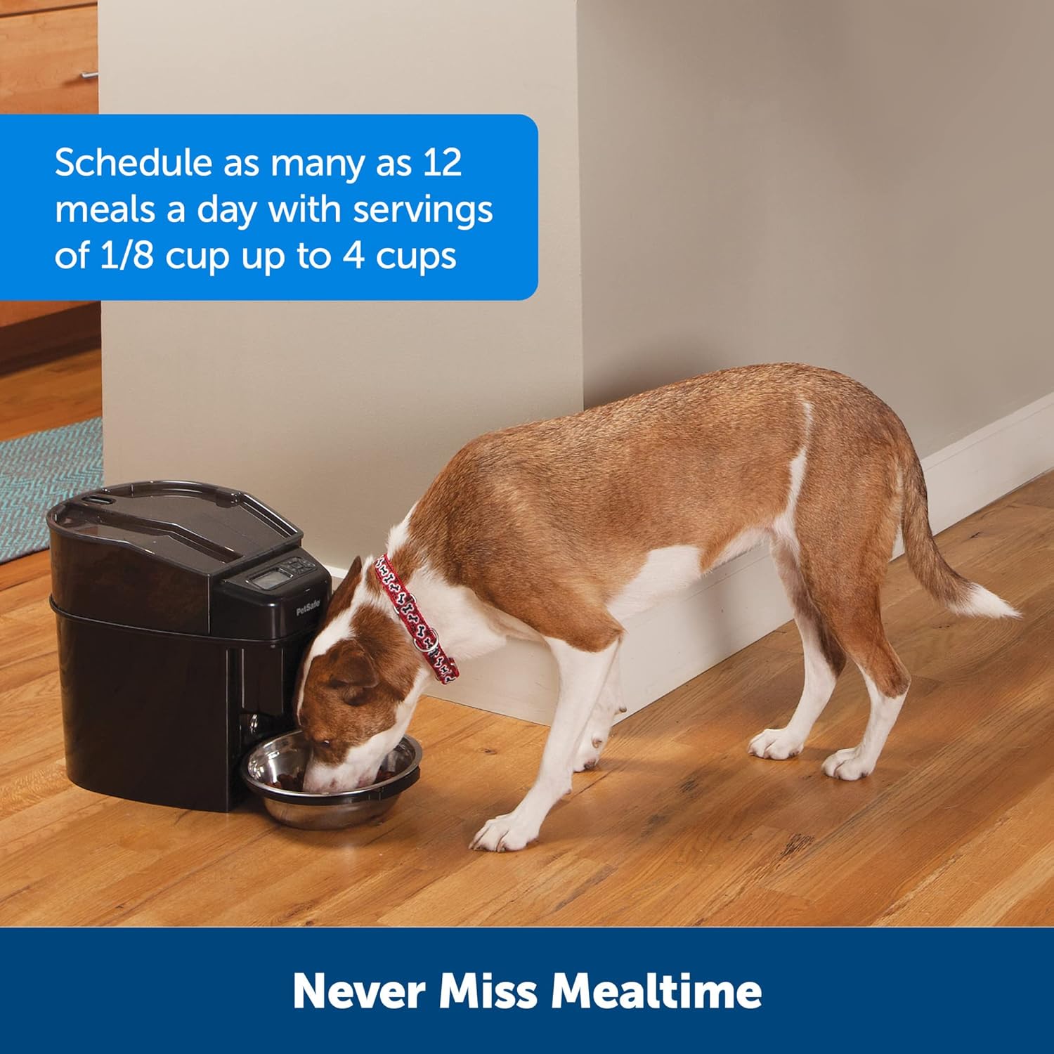 PetSafe Healthy Simple Feed-Programmable Digital Pet Feeder