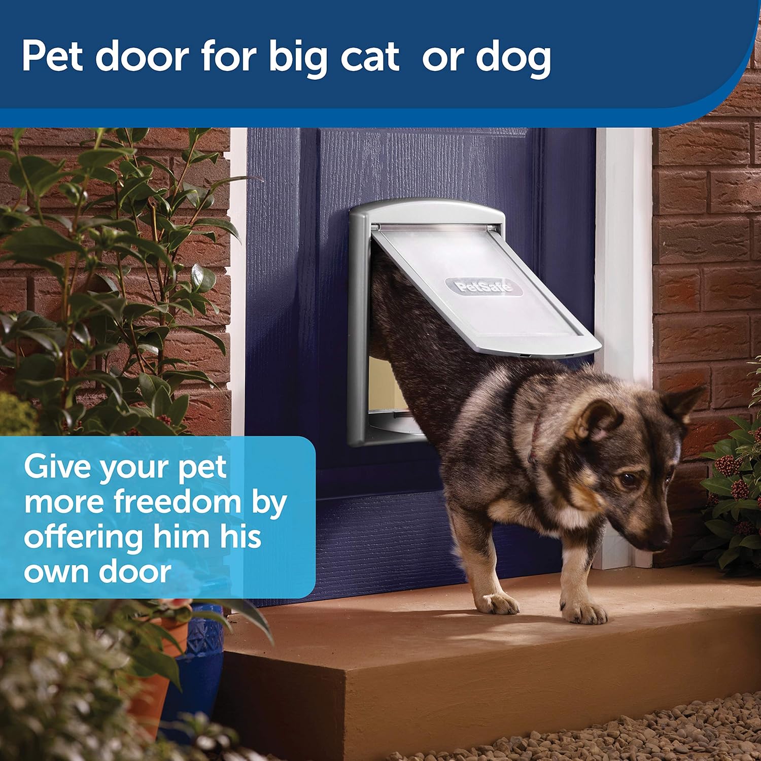 PetSafe Original 2 Way Medium Pet Door - Silver