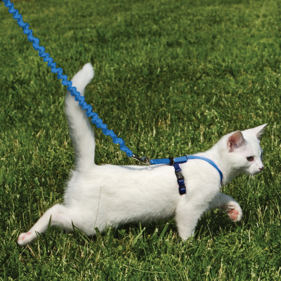 PetSafe Easy Walk Cat Harness & Lead - L Blue