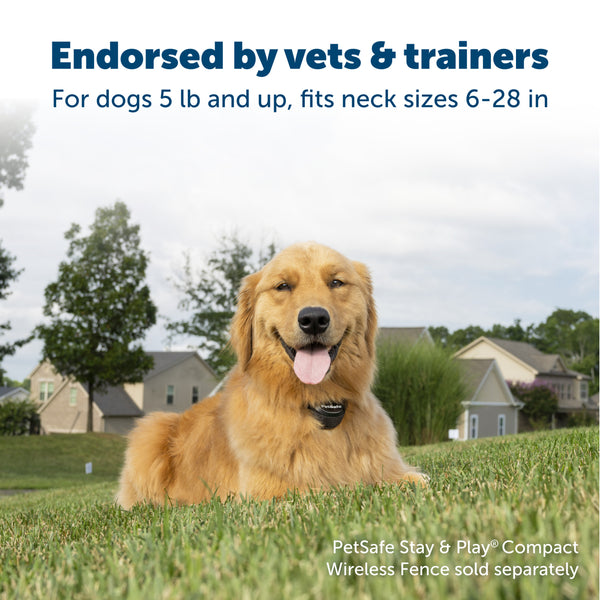 Petsafe Stay Play Wireless Fence Add-A-Dog Extra Receiver Collar