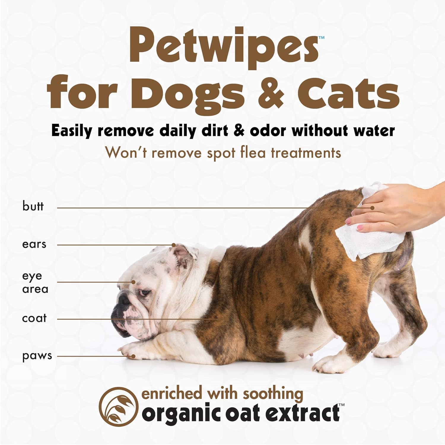 Petkin Big N' Thick Oatmeal Petwipes 100ct