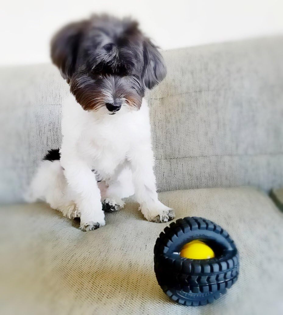 Petmate 3.5" Small Animal Sounds X-Tire Ball