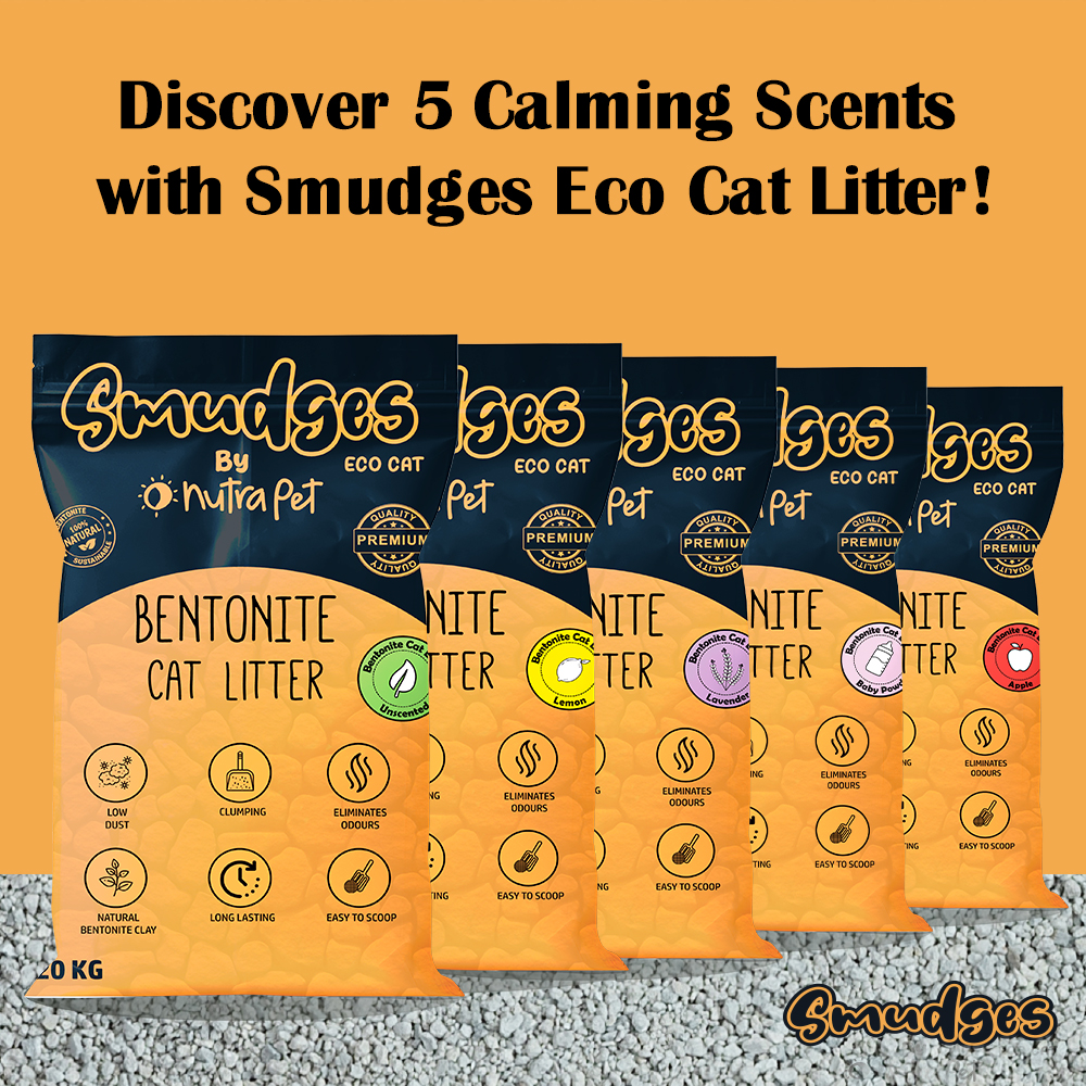 Smudges Eco cat Bentonite Clumping Cat Litter 20 Kgs-Lemon Scented