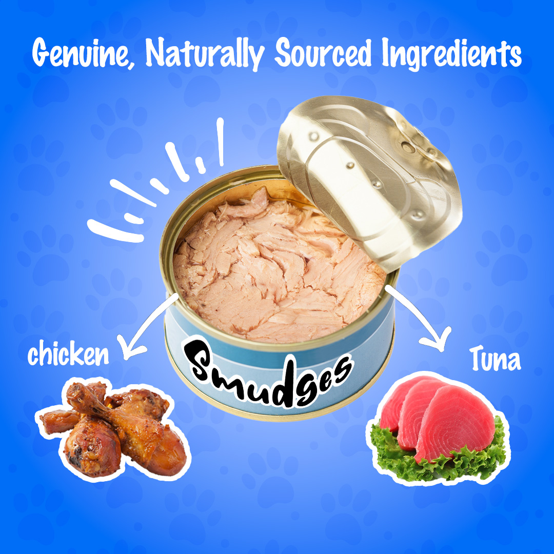 Smudges Kitten Salmon Pate Mixed with Shredded Chicken 60g