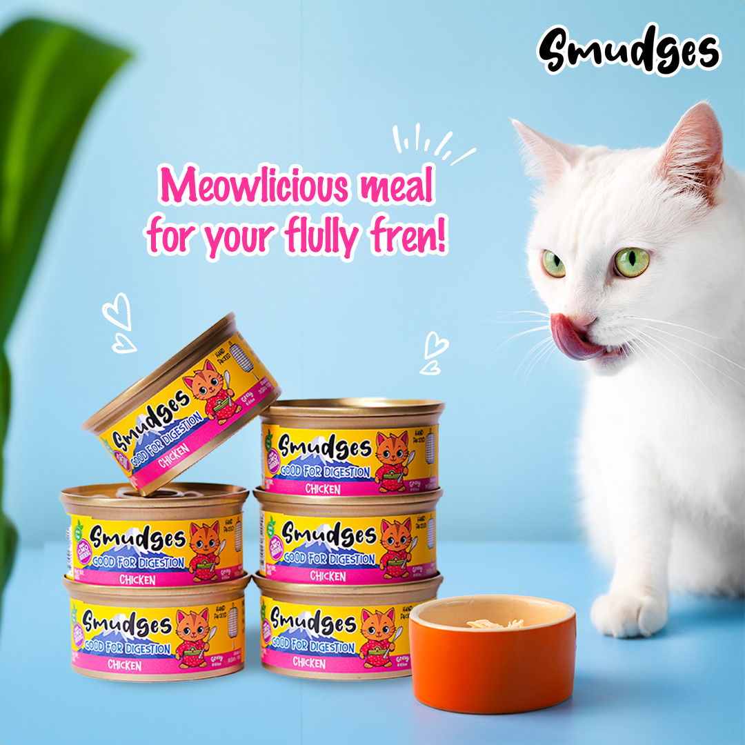 Smudges Adult Cat Tuna with Crabsticks in Gravy 80g